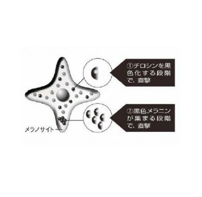 ミッションDR